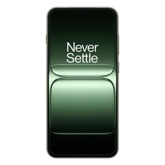 OnePlus 13S 12/256Gb Dual nano Sim Зеленый IND