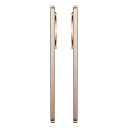 Realme 13+ 5G 8/256Gb РСТ Бронзовый